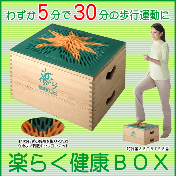 楽らく健康BOX(踏み台昇降運動・スローステップ運動・有酸素運動)